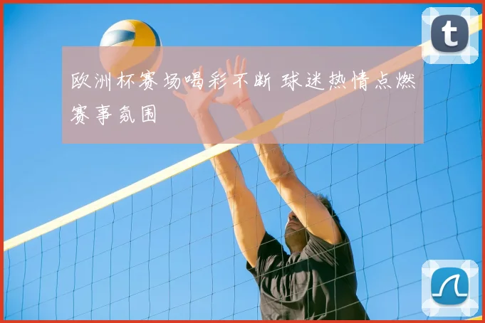 欧洲杯赛场喝彩不断 球迷热情点燃赛事氛围